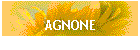 AGNONE